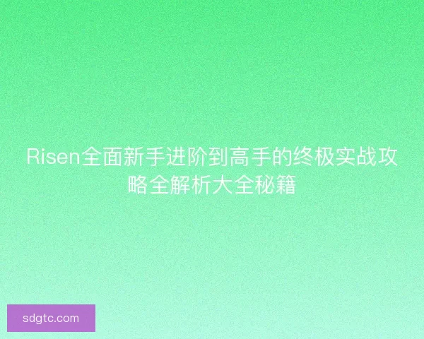 Risen全面新手进阶到高手的终极实战攻略全解析大全秘籍